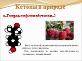 n-Гидроксифенилбутанон-2. Этот кетон обуславливает в основном запах спелых ягод малины. Его включают в состав синтетических душистых композиций