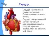 Сердце. Сердце находится в груди человека. Размером оно всего с кулак. Сердце – неутомимый мотор, который непрерывно гонит в сосуды кровь и заставляет её обегать всё тело.