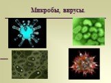 Микробы, вирусы.