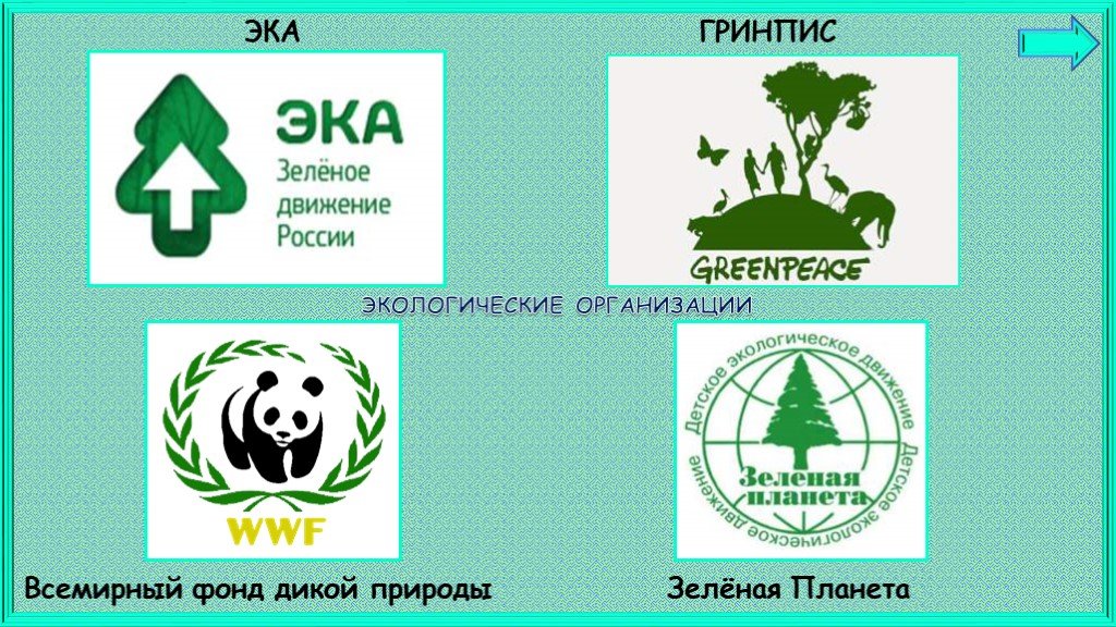 Форумы гринпис. Экологические организации. Экологическая организация Гринпис. Гринпис в России. Greenpeace Международная организация.