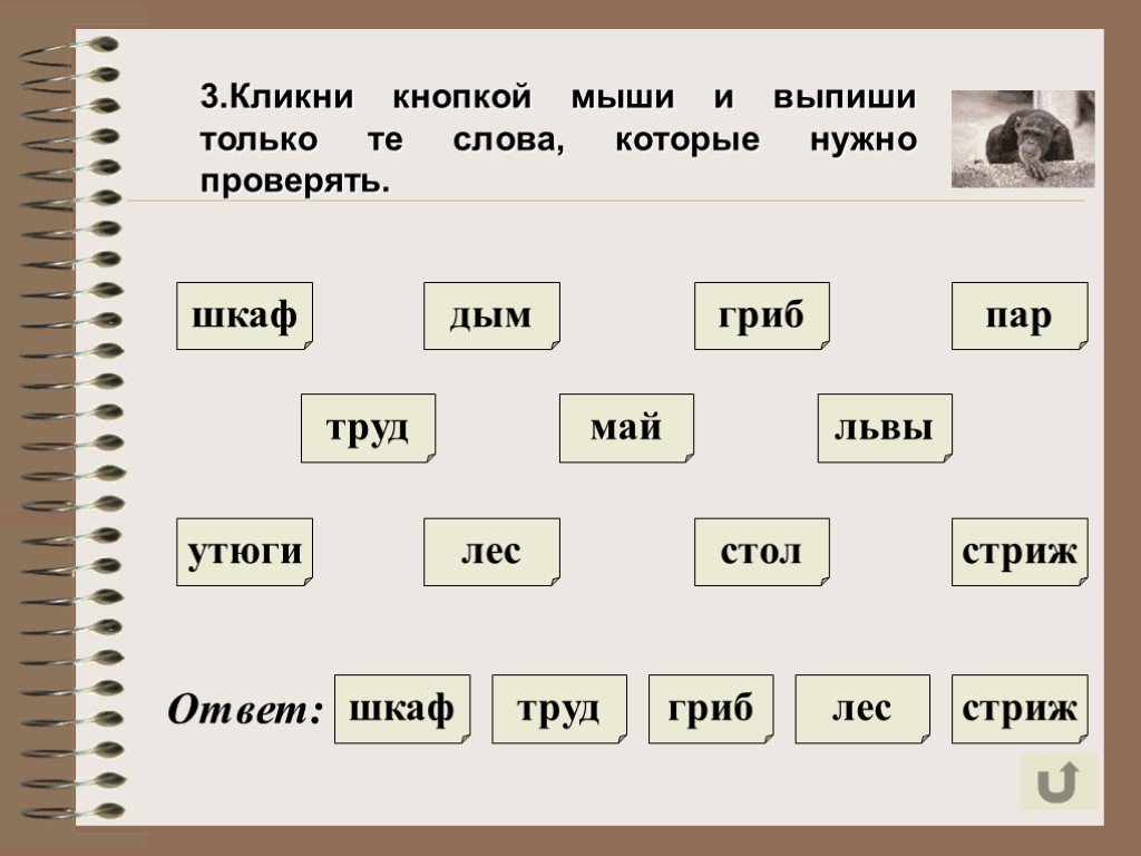 Подбери слова которые начинаются с парного. Парные согласные на конце слова. Слова с согласными на конце которые надо проверять. Пары слов с глухими и звонкими согласными. Лев львы парные согласные.