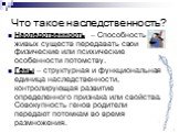 Что такое наследственность? Наследственность – Способность живых существ передавать свои физические или психические особенности потомству. Гены – структурная и функциональная единица наследственности, контролирующая развитие определенного признака или свойства. Совокупность генов родители передают п