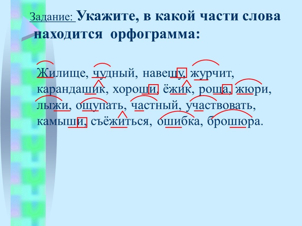 Орфограмма в слове находится. В какой части слова находится орфограмма. Орфограмма в слове Ежи. 15 Слов с орфограммами.