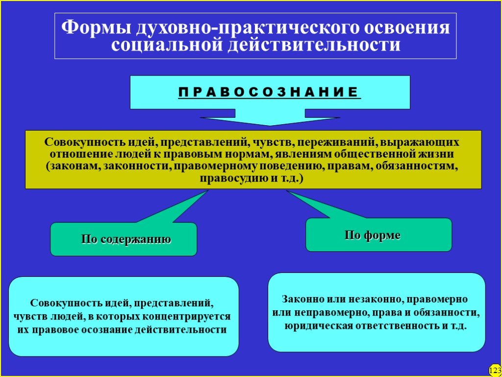 Формы социальной реальности