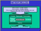 Структура личности. Интересы, мотивы, ценностные, ориентации. Сознание Мировоззрение. Способности Характер. Потребности исторического развития. Общественное, групповое сознание Общественные, групповые интересы Общественное разделение труда, система социальных отношений Характер социальной структуры 