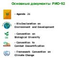 - Convention on Biological Diversity. - Convention to Combat Desertification. - Framework Convention on Climate Change. - Rio Declaration on Environment and Development. - Agenda 21. Основные документы РИО-92
