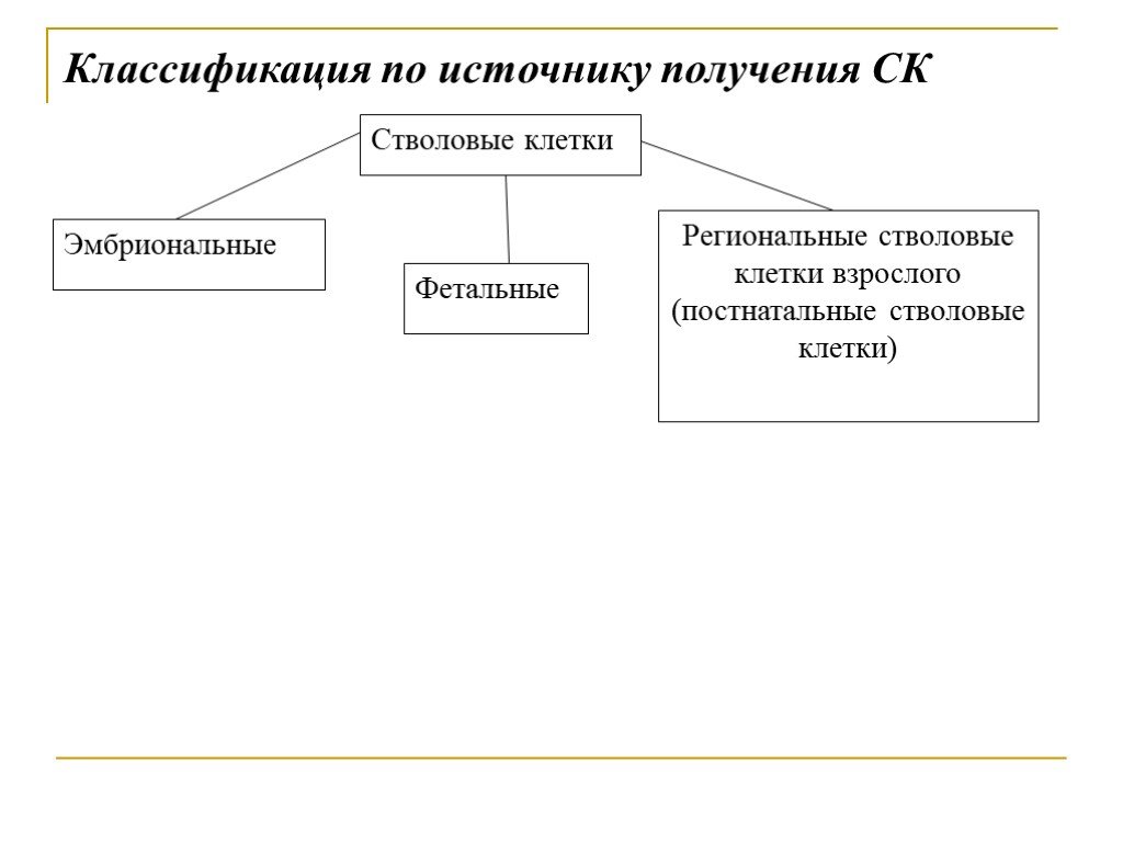 Классификация клеток. Классификация стволовых клеток по источнику их выделения. Стволовые клетки классификация. Классификация стволовых клеток по по источнику выделения. Стволовые клетки классификация по происхождению.