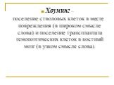 Хоуминг – поселение стволовых клеток в месте повреждения (в широком смысле слова) и поселение трансплантата гемопоэтических клеток в костный мозг (в узком смысле слова).