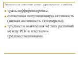 трансдифференцировка сниженная популяционную активность (низкая активность теломеразы); трудности выявления чётких различий между РСК и клетками-предшественниками.