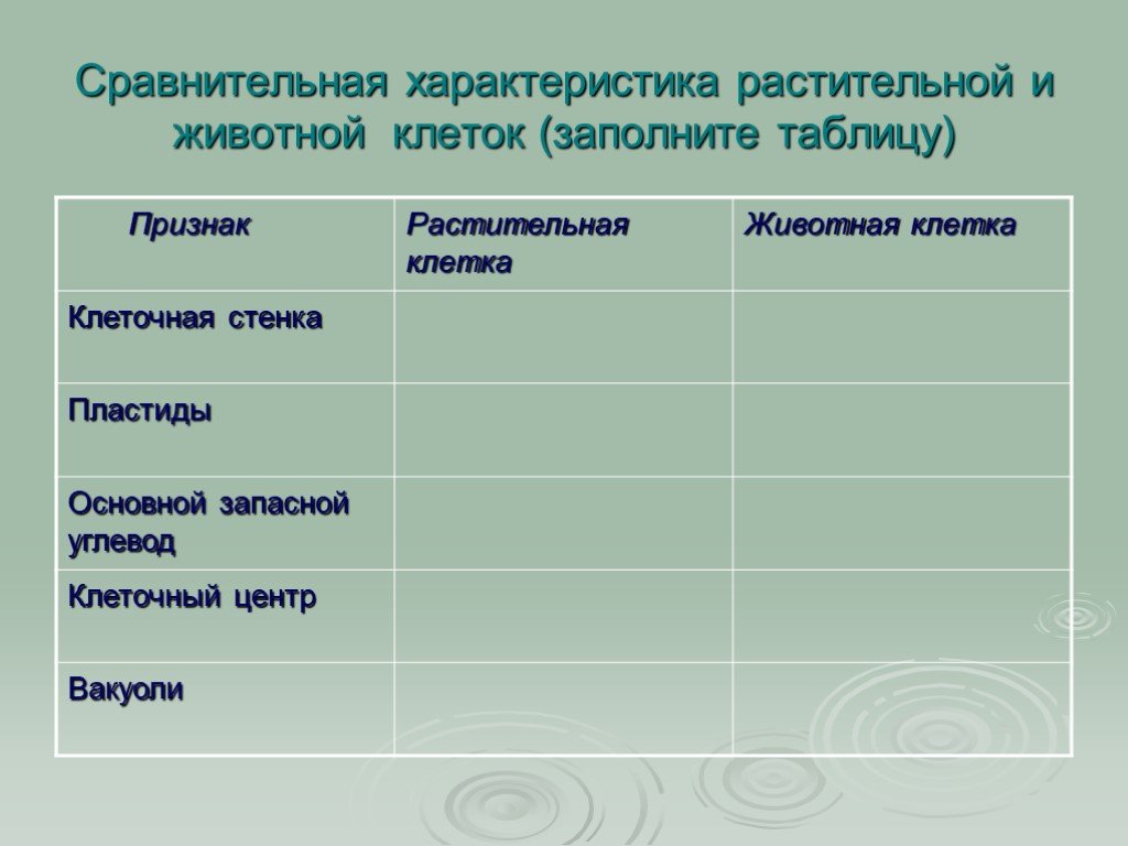 Растительная и животная клетка таблица. Сравнительная таблица клеток растений и животных. Сравнительная характеристика растительной и животной клетки. Сравнение строения растительной и животной клетки таблица. Сравнение клеток растений и животных таблица.