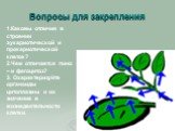 Вопросы для закрепления. 1.Каковы отличия в строении эукариотической и прокариотической клеток? 2.Чем отличается пино – и фагоцитоз? 3. Охарактеризуйте органоиды цитоплазмы и их значение в жизнедеятельности клетки.