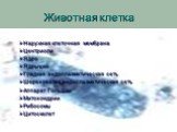 Животная клетка. Наружная клеточная мембрана Центриоли Ядро Ядрышко Гладкая эндоплазматическая сеть Шереховатая эндоплазматическая сеть Аппарат Гольджи Митохондрии Рибосомы Цитоскелет