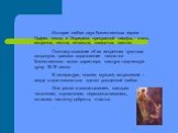 История любви двух божественных героев - Орфея, певца, и Эвридики, прекрасной нимфы, - очень искренна, честна, печальна, загадочна, светла. Поэтому сказание об их искренних чувствах затронули, принося вдохновение такого же божественного юного характера, каждую творческую душу 18-19 веков. В литерату