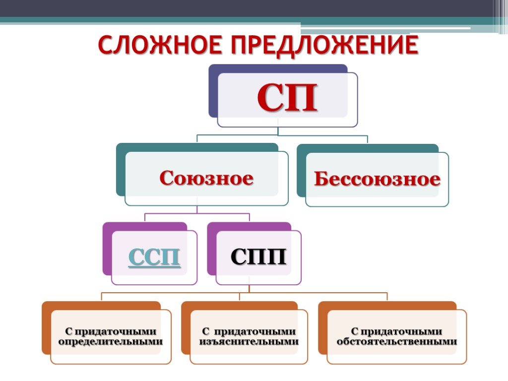 Виды сложных предложений 5 класс презентация