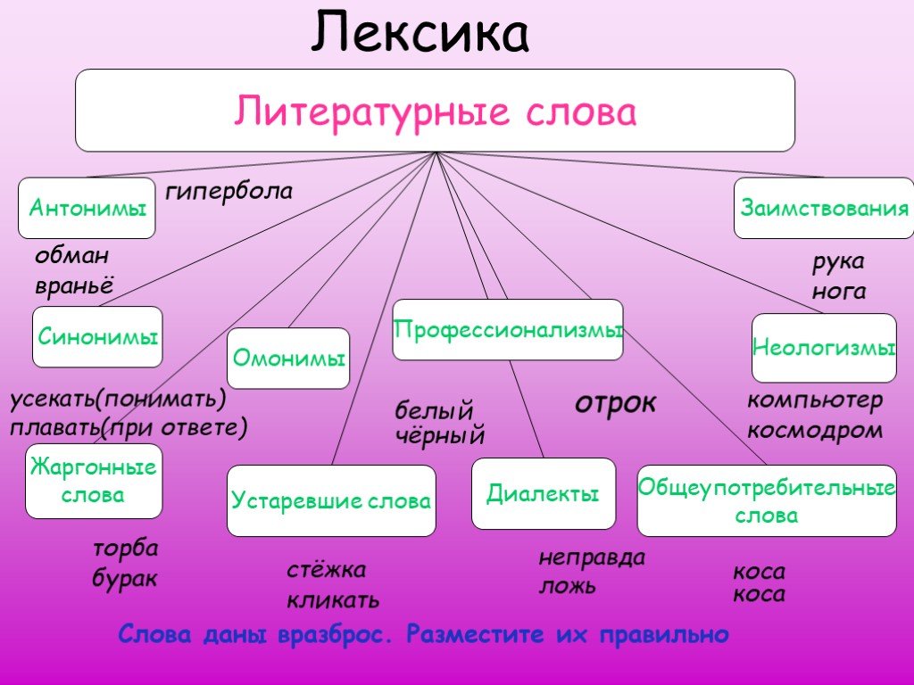 Лексика русского языка 5 класс презентация