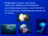 Инфразвук слышат некоторые животные. Медузы воспринимают ультразвуковые волны с частотой 8-13 Гц и чувствуют приближение шторма за 15 часов.