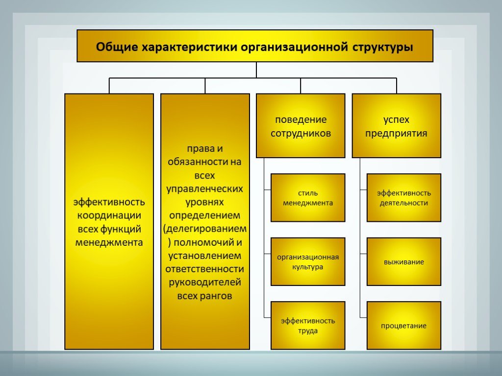 Организационная характеристика. Характеристика организационной структуры. Основные характеристики организационной структуры. Общие характеристики организационной структуры. Характеристика оргструктуры.