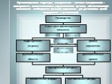 Организационная структура менеджмента – система менеджмента – совокупность взаимосвязанных управленческих органов, обеспечивающих выполнение необходимых функций управления для достижения целей предприятия (организации).