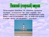 Нижний (озерный) мираж. Такие миражи доводили до отчаяния путников пустыни, изнывавших от зноя и жажды. Они видели также 2-3 километрах вожделенную воду, брели к ней из последних сил, но вода отступала, а потом точно растворялась в воздухе.