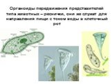 Органоиды передвижения представителей типа животных – реснички, они же служат для направления пищи с током воды в клеточный рот