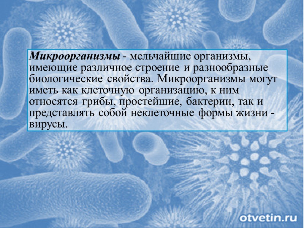 Почему бактерии считают. Микроорганизмы для презентации. Бактерии по микробиологии презентация. Презентация по биологии микроорганизмы. Микроорганизмы сообщение.