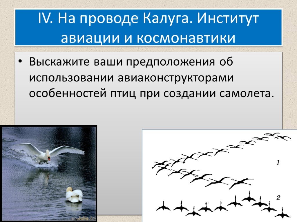 Обобщающий урок птицы 7 класс. Особенности плавающих птиц. Ваши предположения. Дисциплины изучаемые в авиаконструкторах полет птиц.