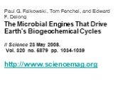 Paul G. Falkowski, Tom Fenchel, and Edward F. Delong The Microbial Engines That Drive Earth's Biogeochemical Cycles // Science 23 May 2008. Vol. 320 no. 5879 pp. 1034-1039 http://www.sciencemag.org