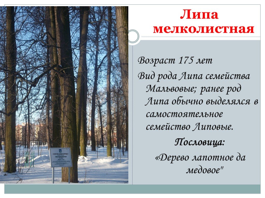 Презентация памятники природы вологодской области