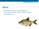Цель: Изучение видового разнообразия ихтиофауны реки Шачи района города Волгореченска .