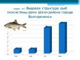 График №1 Видовая структура рыб экосистемы реки Шачи района города Волгореченск
