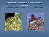 Загрязнения, связанные с деятельностью человека Сельскохозяйственные отходы Бытовые отходы