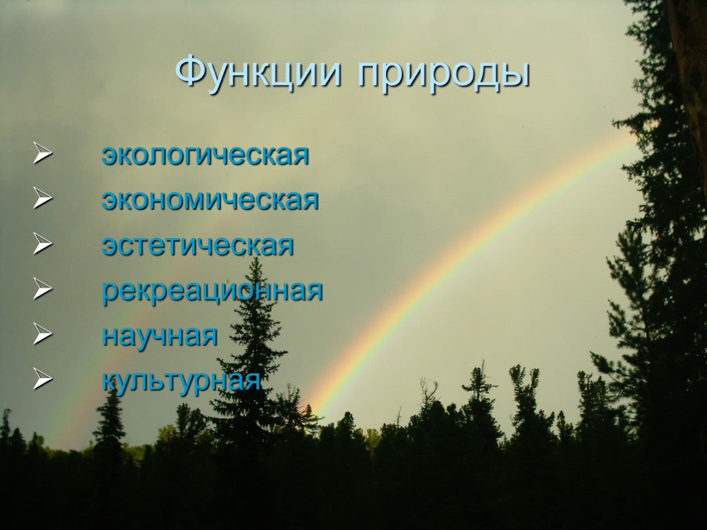 Функции выполняемые природой. Функции природы. Экологическая функция природы. Функции природы в экологии. Функции в природе природа.