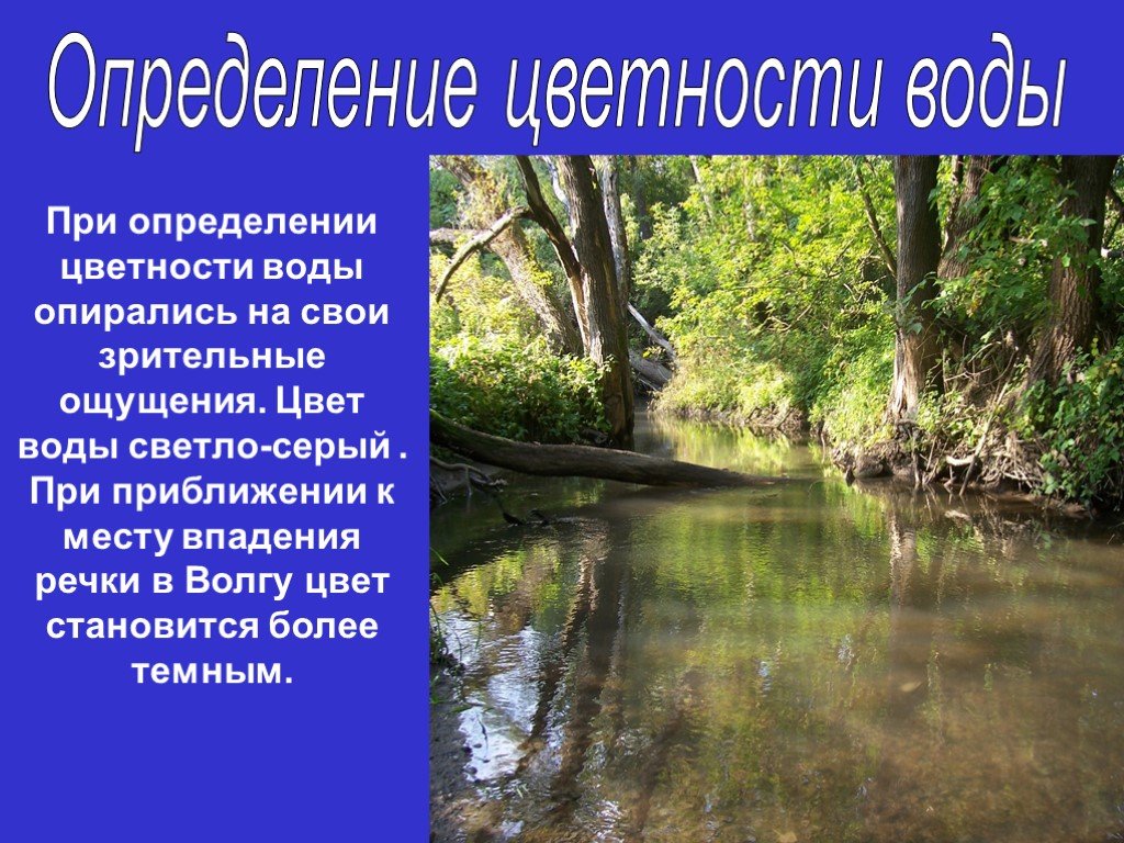 Мониторинг рек башкирии. Гидрологические памятники природы. Определение цветности воды. Участок мониторинга: реки.