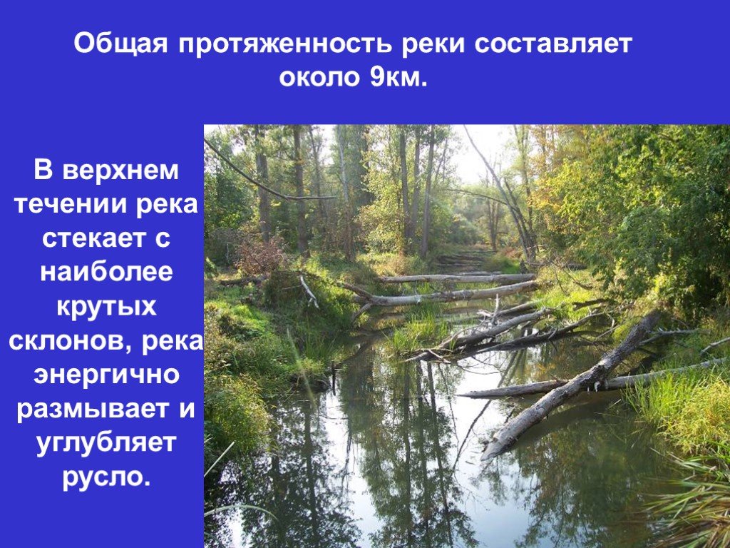 Верхнее течение реки это. Гидрологическая роль леса. Гидрологические памятники природы. Презентация гидрологические памятники природы.