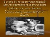 В июле 51-го состоялся первый запуск обитаемого космического корабля с двумя собаками. Одного звали Цыган, второго - Дезик.