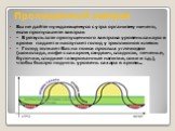 Пропущенный завтрак. Вы не даёте нуждающемуся с утра организму ничего, если пропускаете завтрак - В результате пропущенного завтрака уровень сахара в крови падает и наступает голод у триллионов клеток - Голод толкает Вас на поиск простых углеводов (шоколада, кофе с сахаром, сэндвич, сладости, печень