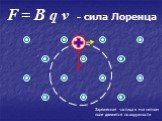 F = B q v - сила Лоренца. Заряженная частица в магнитном поле движется по окружности