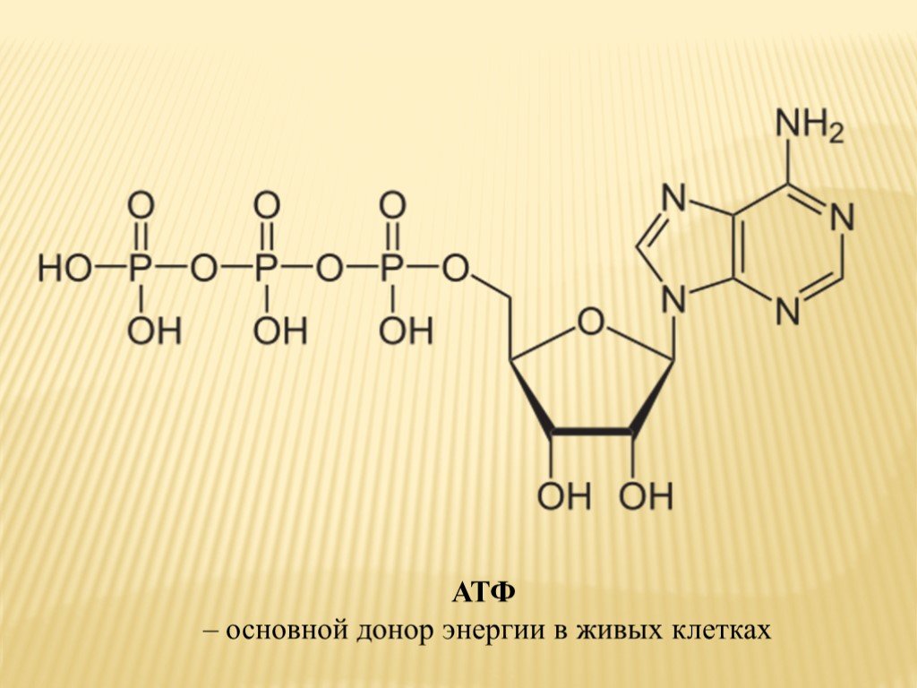 Атф основания. АТФ формула структурная. Молекула АТФ. АТФ рисунок. Схема АТФ.