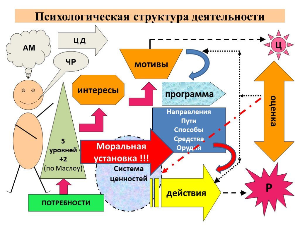 Потребности и интересы человека в структуре деятельности план