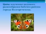 Цель: изучение видового разнообразия бабочек района города Волгореченска.