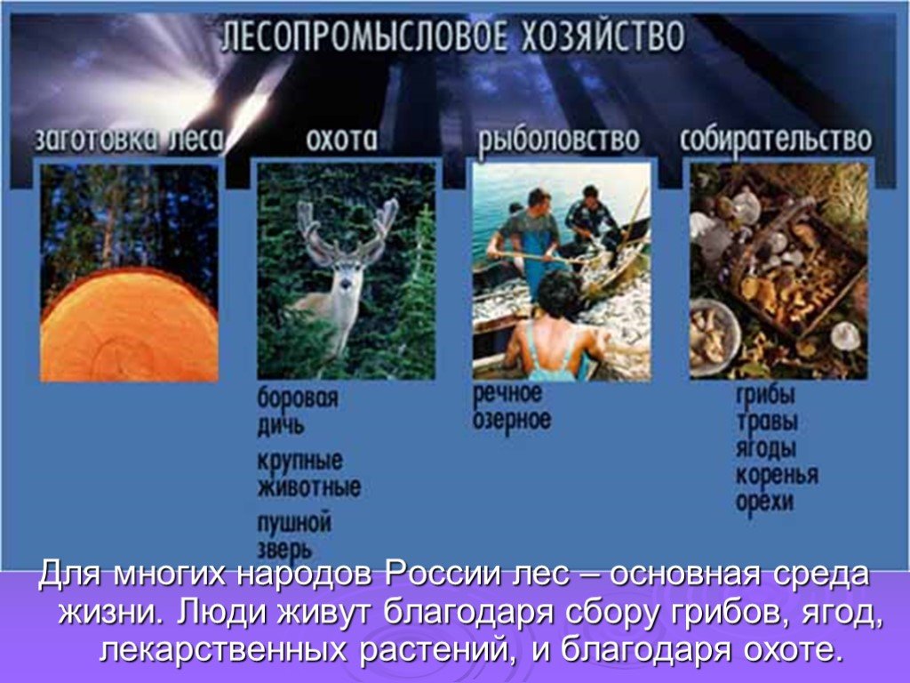 Какие народы проживают в зоне широколиственных лесов. Народы Лесной зоны. Народы смешанных лесов России. Народы Лесной зоны России. Население смешанных лесов в России.