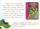 Российские ученые создали Красную книгу, в которую занесли все виды растений, которым грозит вымирание. Список в ней длинный. Одних только цветковых растений почти пятьсот видов. А есть ещё папоротники, хвощи, водоросли. Эта книга познакомит тебя с самыми любопытными растениями, которым нужна помощь