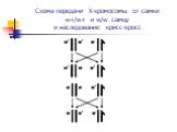 Схема передачи X-хромосомы от самки w+/w+ и w/w самцу и наследование крисс-кросс