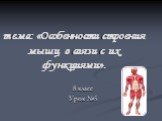 тема: «Особенности строения мышц в связи с их функциями». 8 класс Урок №5