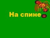 На спине