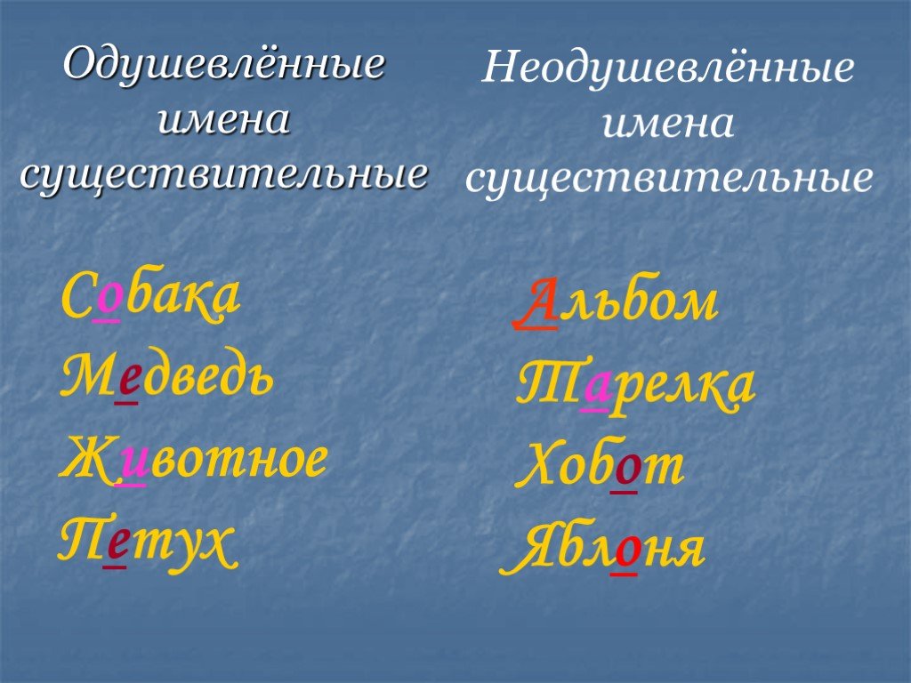 Презентация род имен существительных 3 класс школа россии