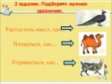 Распустить хвост, как…. Упрямиться, как… Плеваться, как…. 2 задание. Подберите нужное сравнение.