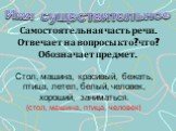 Имя существительное. Самостоятельная часть речи. Отвечает на вопросы кто? что? Обозначает предмет. Стол, машина, красивый, бежать, птица, летел, белый, человек, хороший, заниматься. (стол, машина, птица, человек)