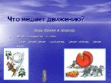 Что мешает движению? Виды трения в природе Трение в жидкостях и газах 2. Сухое трение(трение скольжения, трение качения, трение покоя)