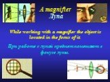 A magnifier Лупа. While working with a magnifier the object is located in the focus of it. При работе с лупой предмет помещают в фокусе лупы.
